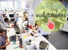 ชนชั้นในองค์กร ชนชั้นในองค์กร