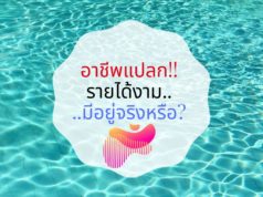 อาชีพแปลก รายได้งาม มีอยู่จริงหรือ?